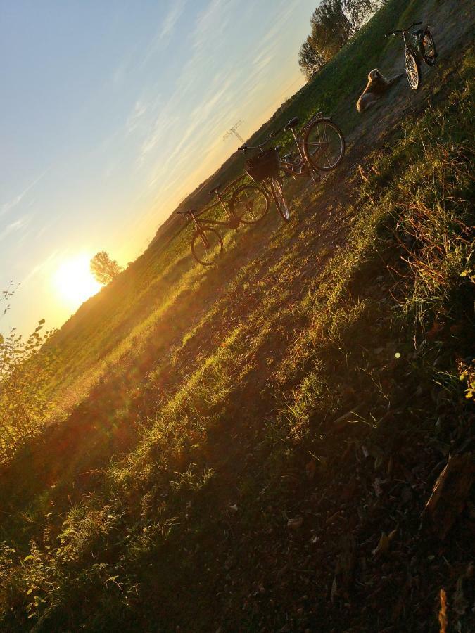 Gaestehaeuschen „Kleine Auszeit“ Greifswald Exteriör bild